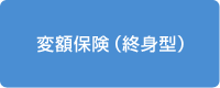 変額保険（終身型）